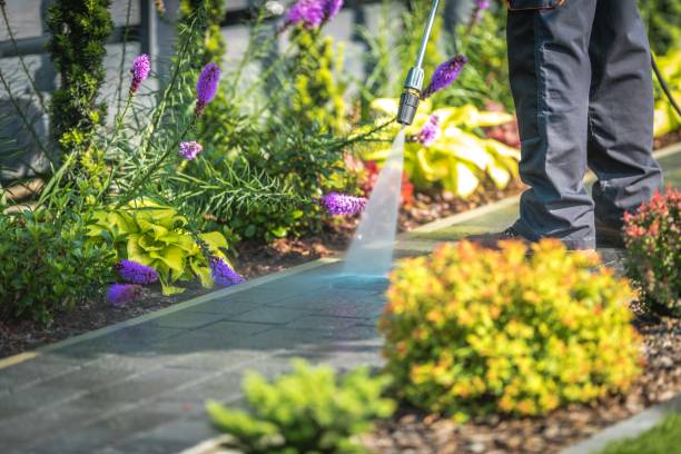 Best Soft Washing for Delicate Surfaces in Ashland, NE